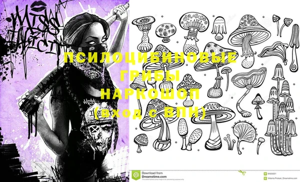 гашиш Инта
