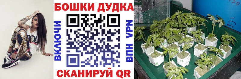 Купить закладки  Донецк  Каннабис семена 